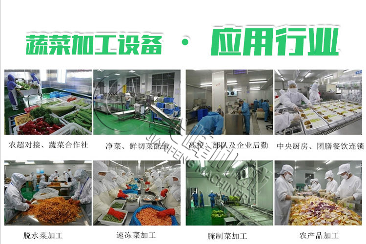 薯芋类去皮加工设备